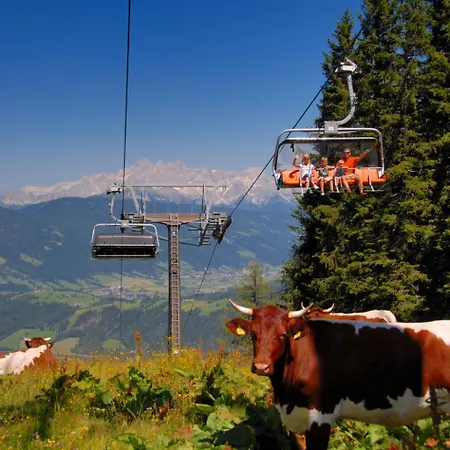 Apartment Dachstein By Interhome *